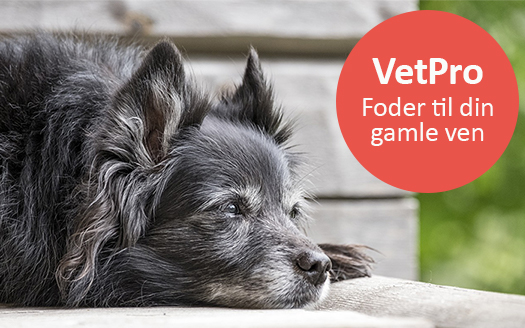 VetPro senior foder til hunde og katte